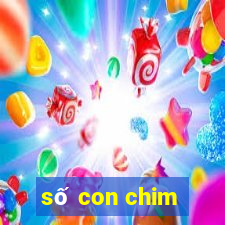 số con chim