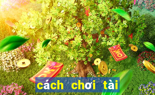 cách chơi tài xỉu trên mmlive