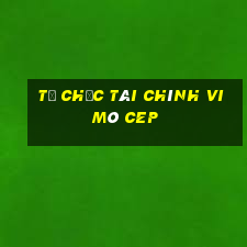 tổ chức tài chính vi mô cep