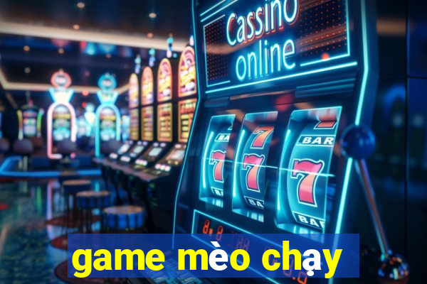 game mèo chạy