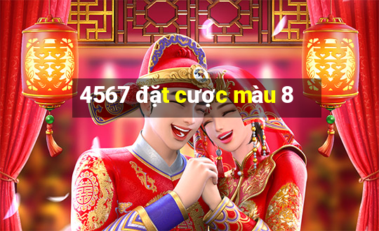 4567 đặt cược màu 8