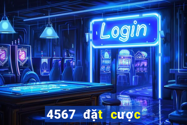 4567 đặt cược màu 8