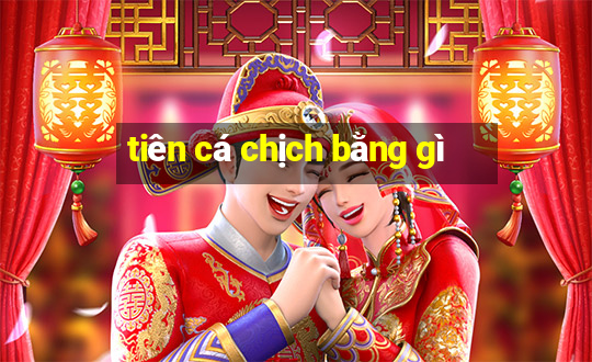 tiên cá chịch bằng gì