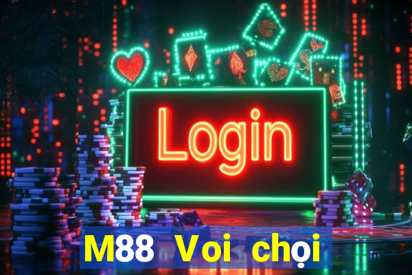 M88 Voi chọi địa chủ