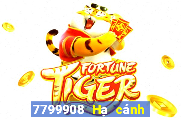 7799908 Hạ cánh tại Las Vegas