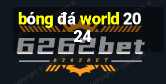 bóng đá world 2024