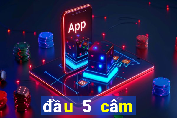 đầu 5 câm đánh con gì