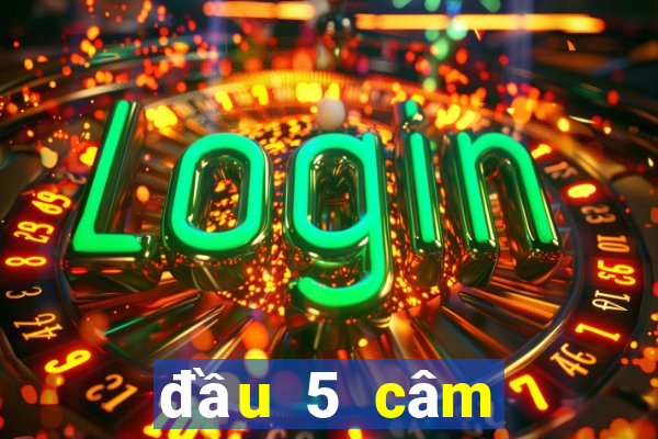 đầu 5 câm đánh con gì