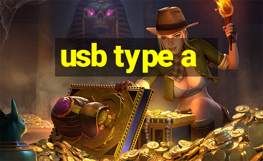 usb type a