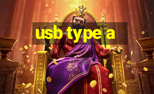 usb type a