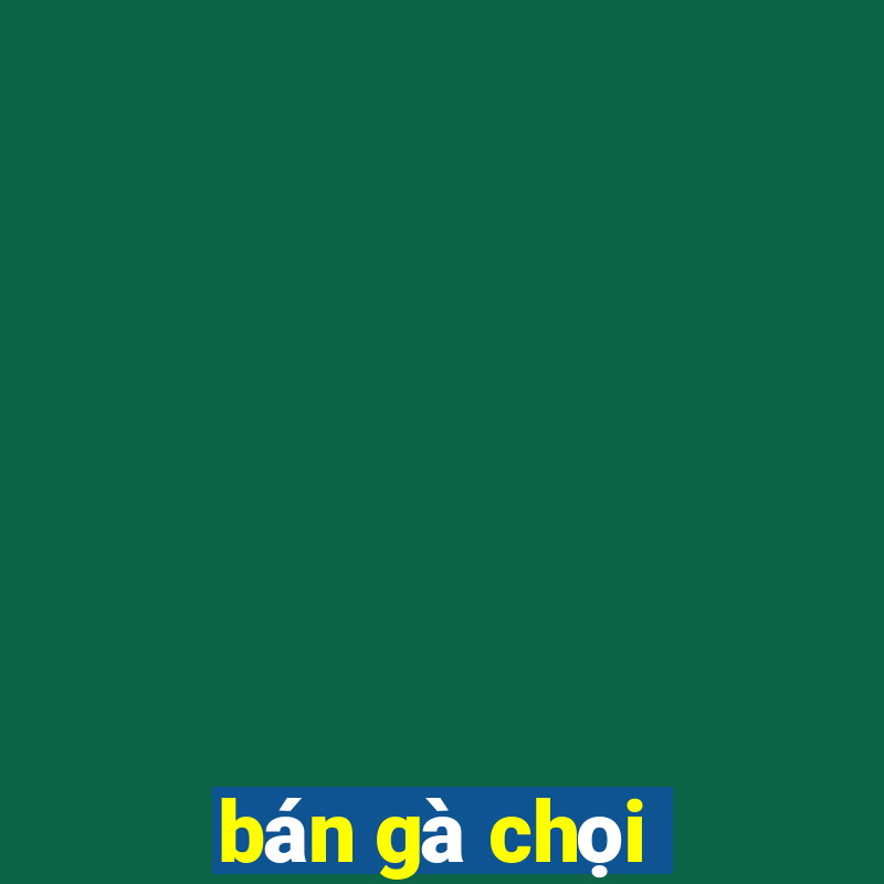 bán gà chọi