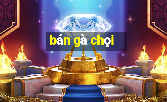 bán gà chọi