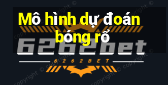 Mô hình dự đoán bóng rổ