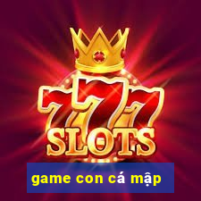 game con cá mập