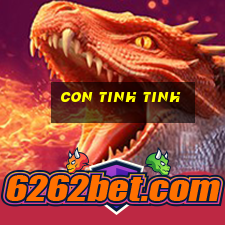 con tinh tinh