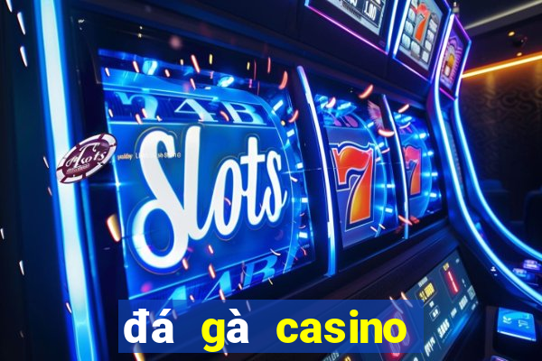 đá gà casino bữa nay