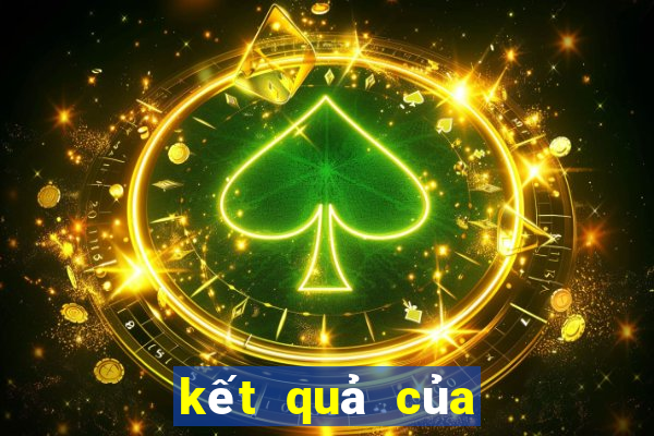 kết quả của giảm phân