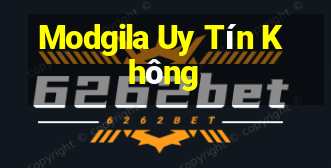 Modgila Uy Tín Không