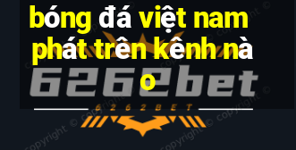 bóng đá việt nam phát trên kênh nào