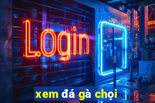 xem đá gà chọi