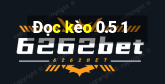 Đọc kèo 0.5 1