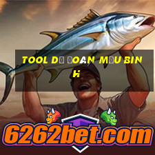 tool dự đoán Mậu Binh