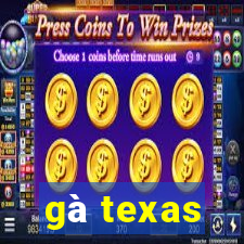 gà texas