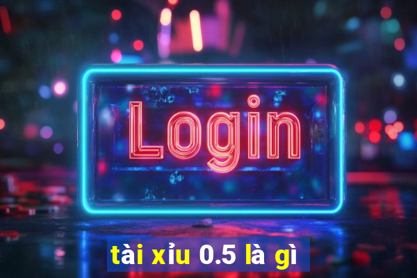 tài xỉu 0.5 là gì