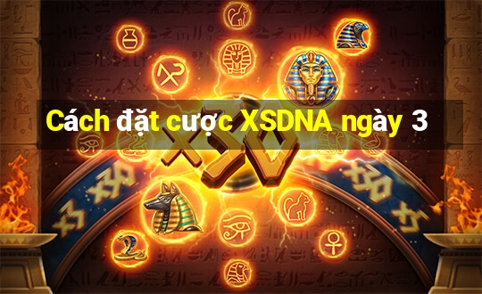 Cách đặt cược XSDNA ngày 3