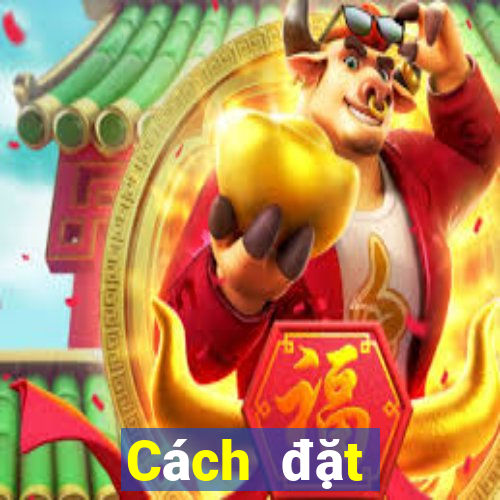 Cách đặt cược XSMT ngày 22