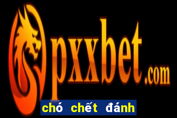 chó chết đánh con gì