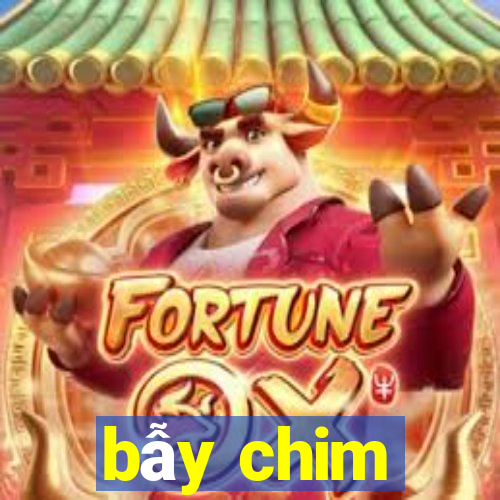 bẫy chim