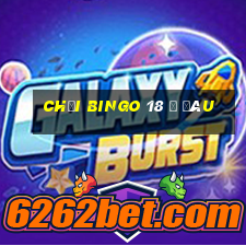 chơi bingo 18 ở đâu