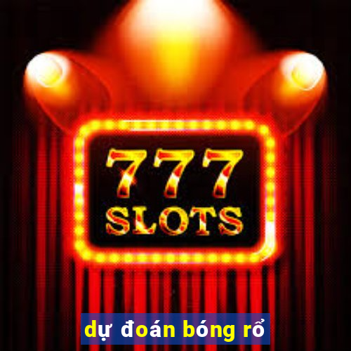 dự đoán bóng rổ