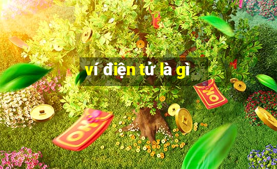 ví điện tử là gì