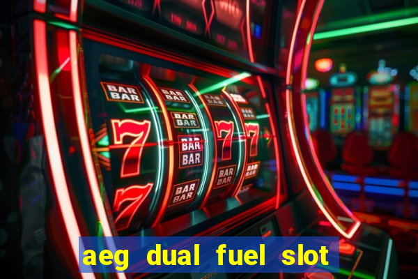 aeg dual fuel slot in cookers