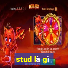 stud là gì