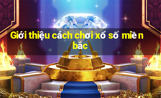 Giới thiệu cách chơi xổ số miền bắc