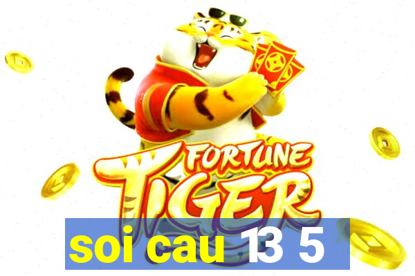 soi cau 13 5