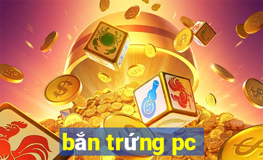 bắn trứng pc