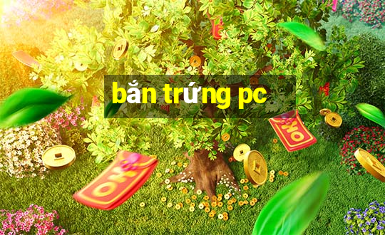 bắn trứng pc