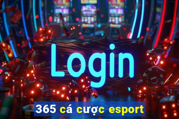 365 cá cược esport