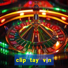 clip tay vin sunny club