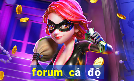 forum cá độ bóng đá