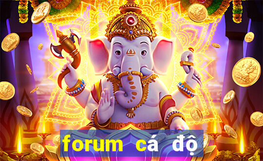 forum cá độ bóng đá