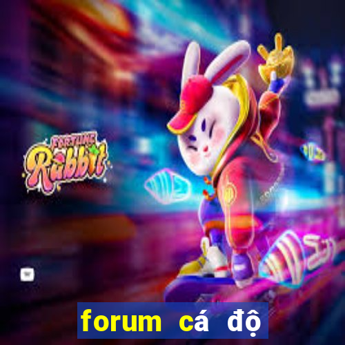 forum cá độ bóng đá