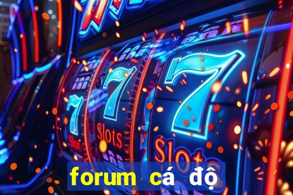 forum cá độ bóng đá