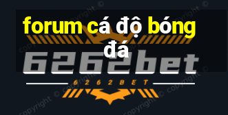 forum cá độ bóng đá