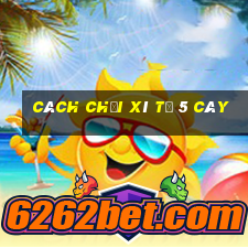 cách chơi xì tố 5 cây