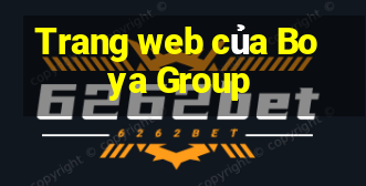 Trang web của Boya Group